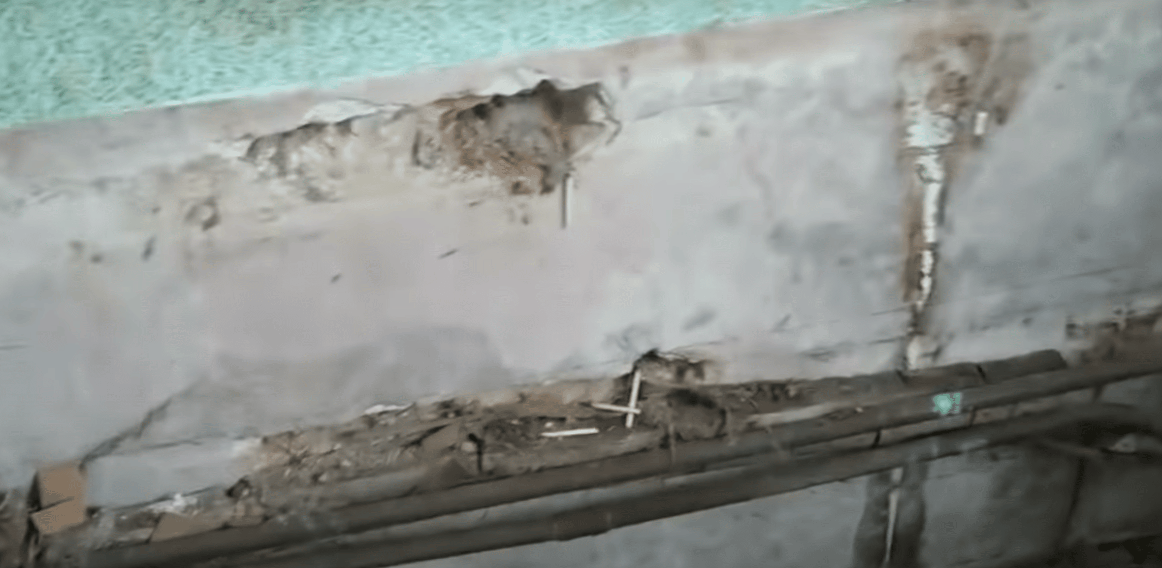 Accurate dry rot identification BT Preservation Damp, Structural Repair and Timber Specialists