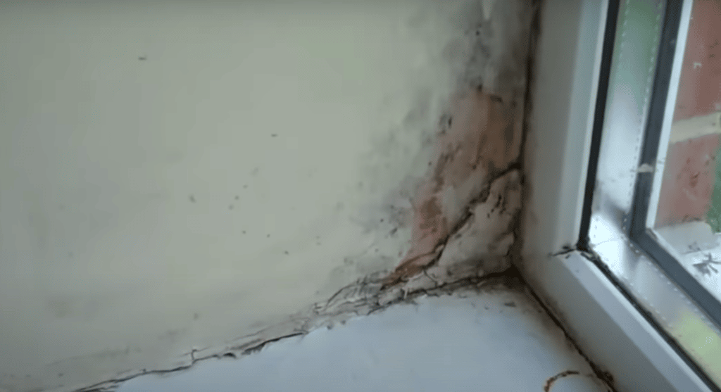 Mouldy wall in modern house