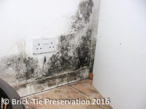 not rising damp just severe condensation