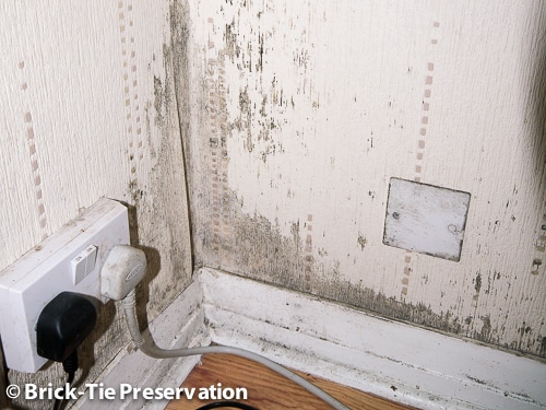 Mould on walls and decorations
