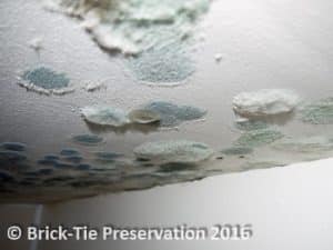 Mould growth on a ceiling