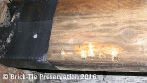 Fig 8: This floor joist is only a few years old – a wet rot relapse despite being sprayed with chemicals and wrapped in DPC. “find the cause and treat that first”.