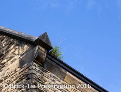 Something as simple as grass blocking a gutter can lead to damp with the potential for severe internal damage.