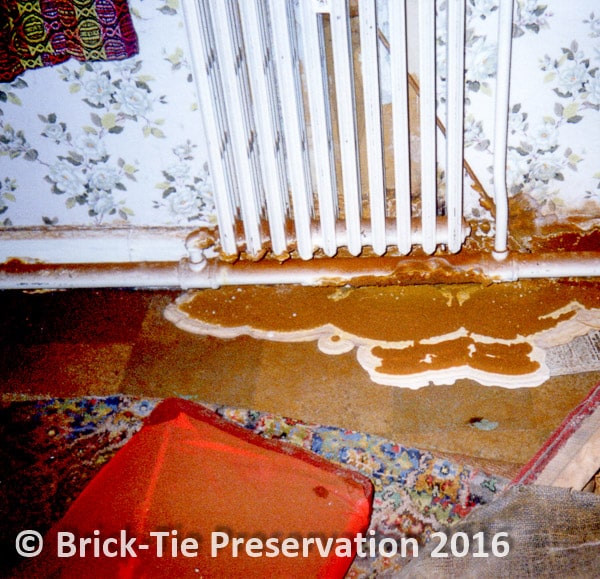 Planning on developing a school into apartments? – Better get the dry rot sorted first.