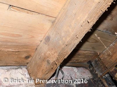 Fig 7: The primary decay in these floor joists is due to wet rot, however the Wood boring weevil infestation is hastening the damage (timber survey – Huddersfield)