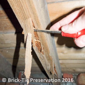 Fig 2: The same joist as seen in fig 1, now probed by our eagle eyed surveyor’s screwdriver – severe decay by wet rot!